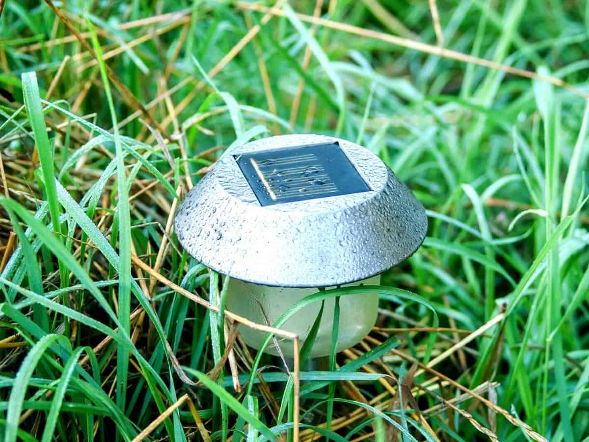 Can Solar Lights Get Wet (Water Rating + Protection )