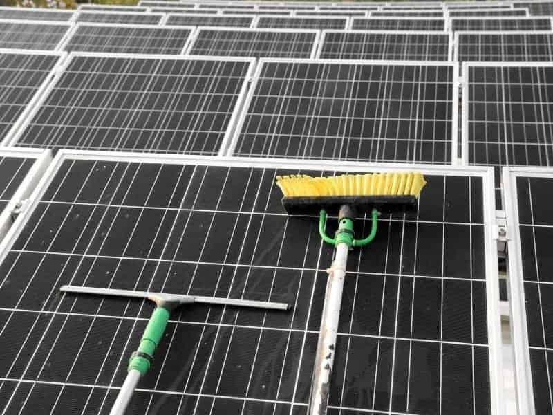Can You Use Wet and Forget on Solar Panels? (Here's How)