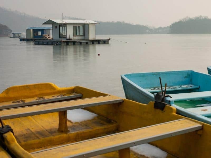 Best Solar Panel For Fish House (Full Guide)