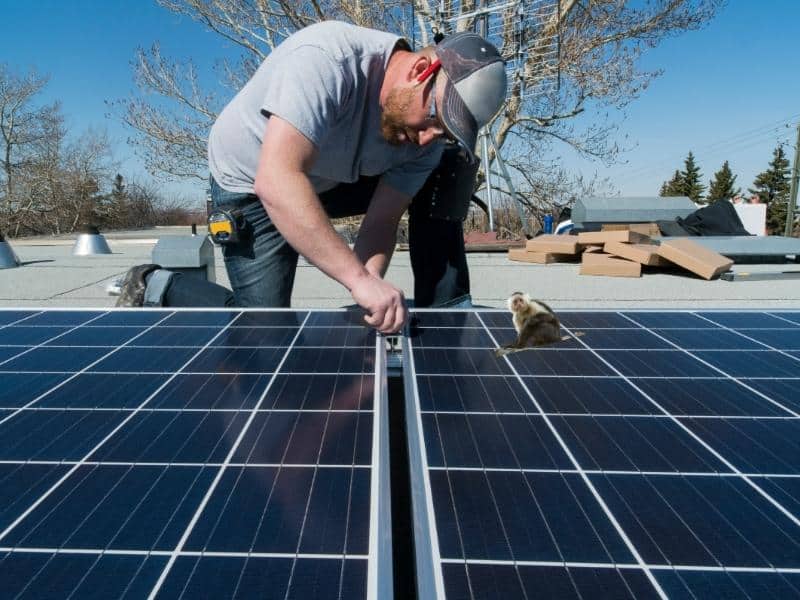 How To Seal Between Solar Panels (Do This!)