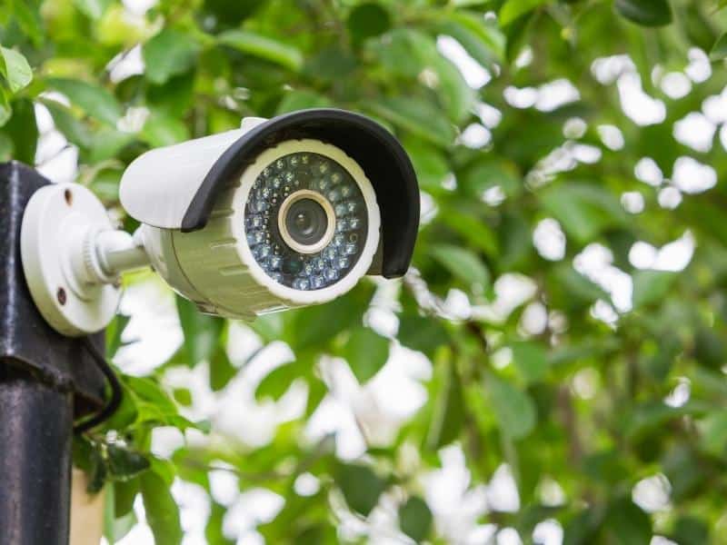 Solar Panels Security Camera (Compatible Aftermarket Choices)
