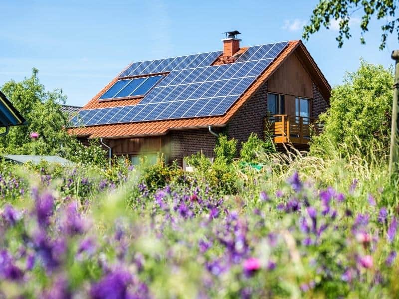 How To hide solar panels (Vital Security)