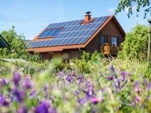 Solar panels on a house through flowers and grass