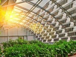 Solar panels inside a greenhouse